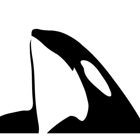 Coastal Rainforest Safaris