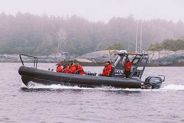 Tour Boat - Natalie Wren